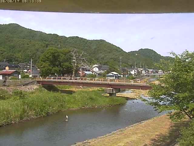 蒲生川３2026/06/17 12:10:00