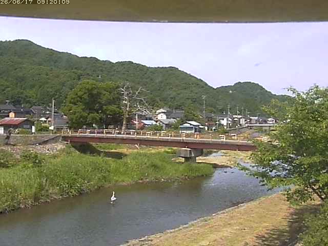 蒲生川３2026/06/17 12:10:00