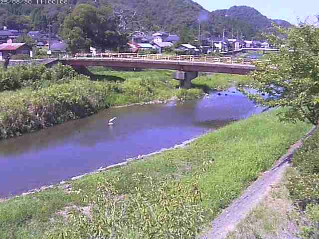 蒲生川３2025/08/31 9:00:00