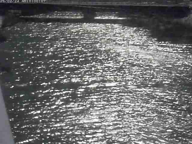 日置川１2026/02/25 2:30:00