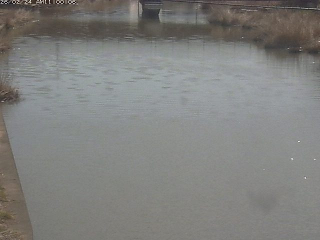 日置川１2026/02/25 2:30:00