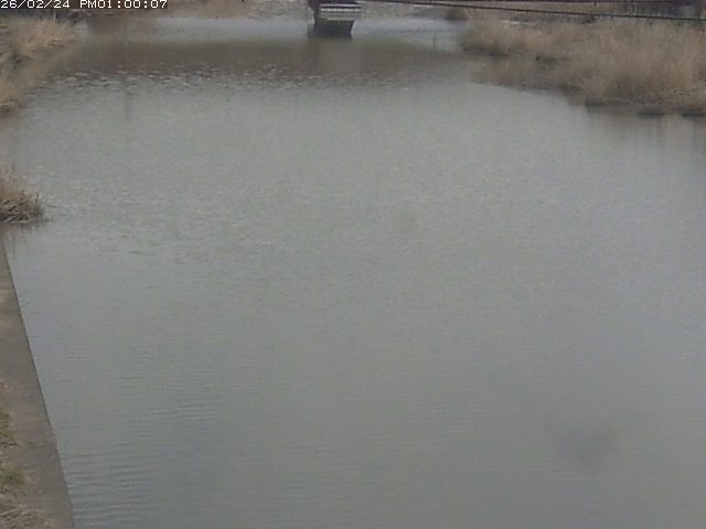 日置川１2026/02/25 2:30:00