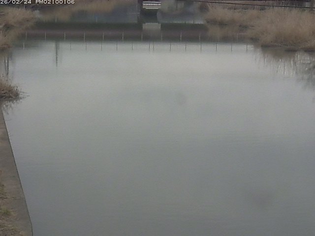 日置川１2026/02/25 2:30:00