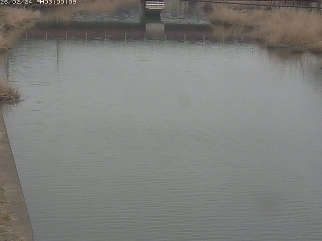 日置川１2026/02/25 2:30:00