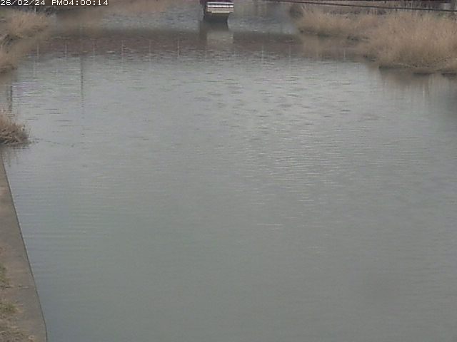 日置川１2026/02/25 2:30:00