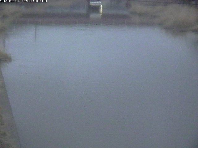 日置川１2026/02/25 2:30:00