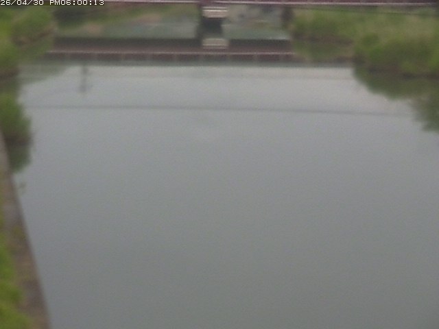 日置川１2026/05/01 16:50:00