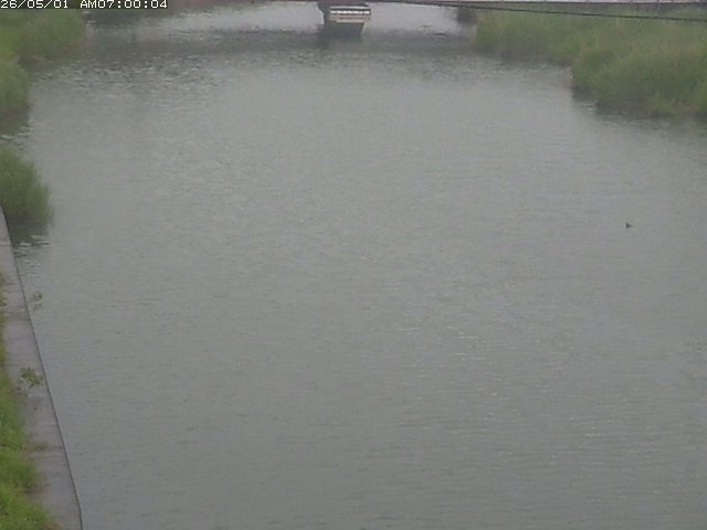 日置川１2026/05/01 16:50:00