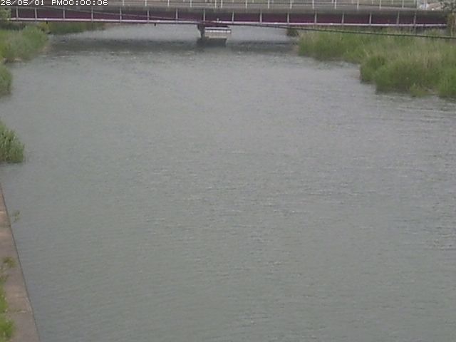 日置川１2026/05/01 16:50:00