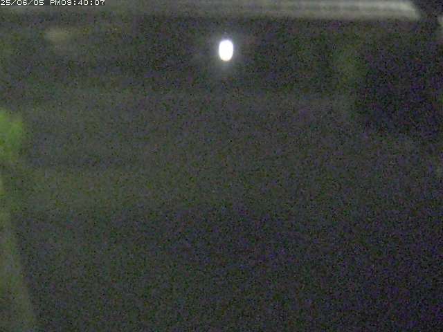 日置川１2025/06/06 1:00:00