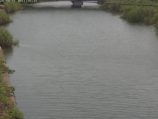 日置川１2026/08/01 20:50:00