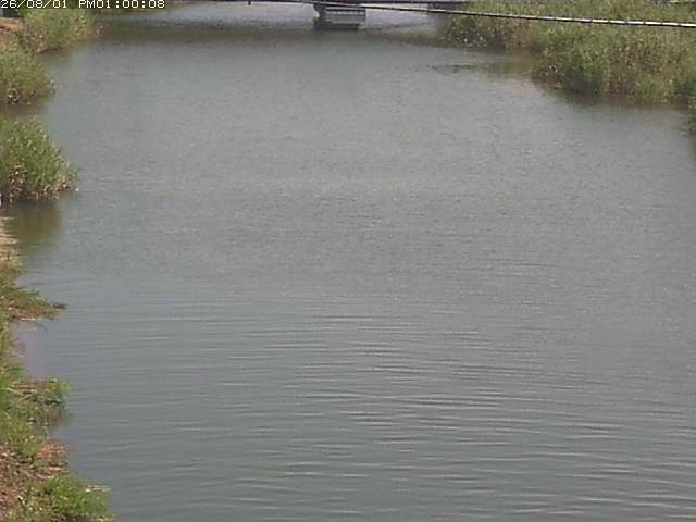 日置川１2026/08/01 20:50:00