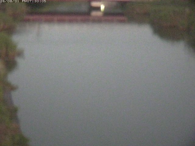 日置川１2026/08/01 20:50:00
