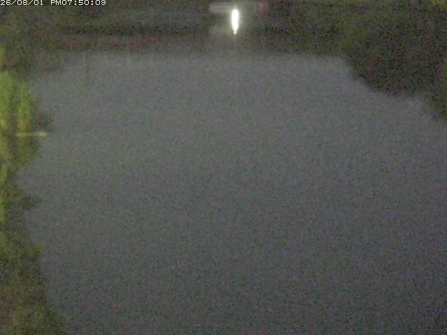 日置川１2026/08/01 20:50:00