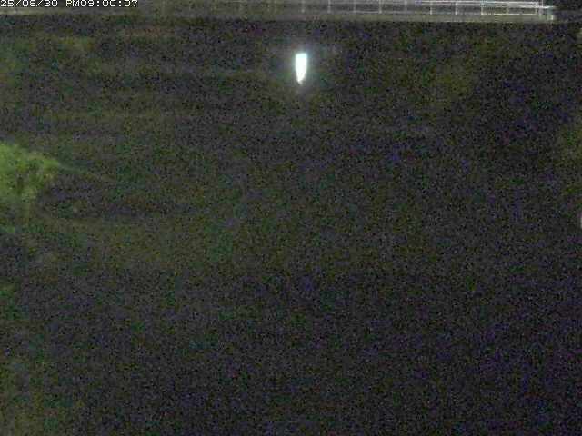 日置川１2025/08/31 9:00:00