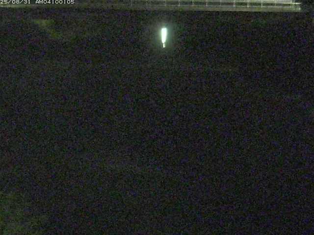 日置川１2025/08/31 9:00:00