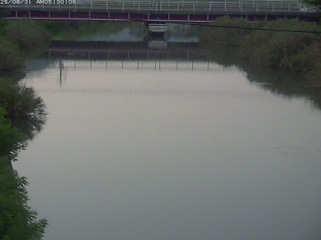 日置川１2025/08/31 9:00:00