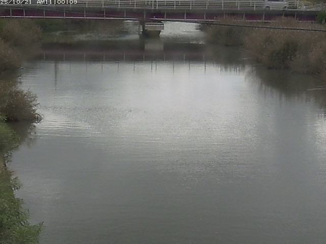 日置川１2025/10/22 11:20:00