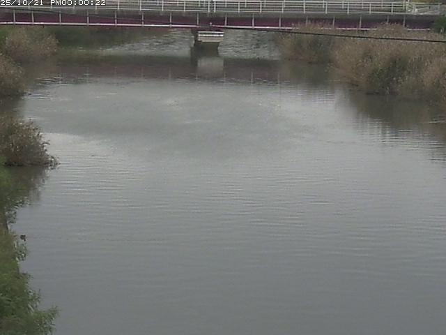 日置川１2025/10/22 11:20:00