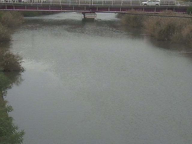 日置川１2025/10/22 11:20:00