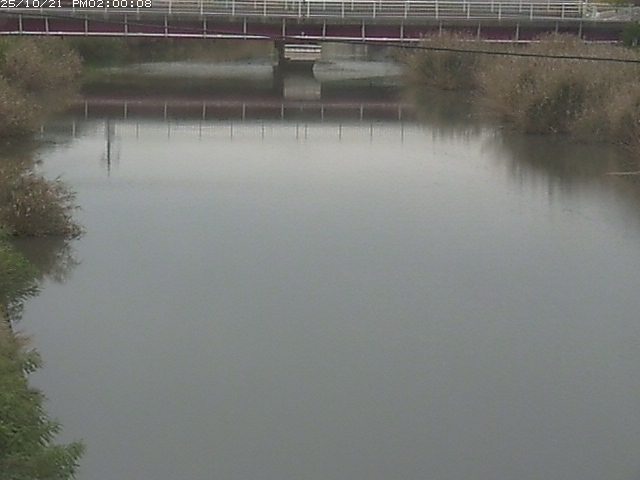 日置川１2025/10/22 11:20:00