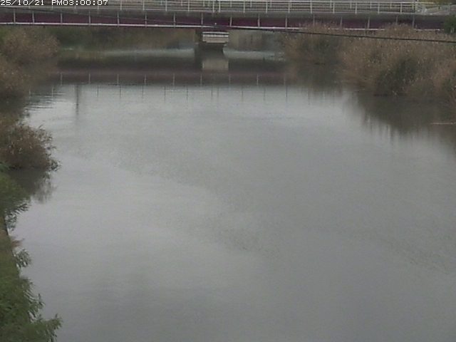 日置川１2025/10/22 11:20:00