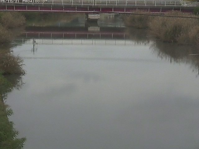 日置川１2025/10/22 11:20:00