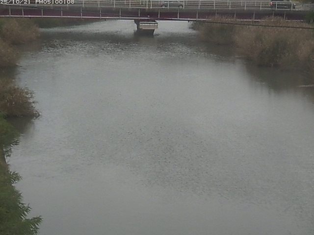 日置川１2025/10/22 11:20:00