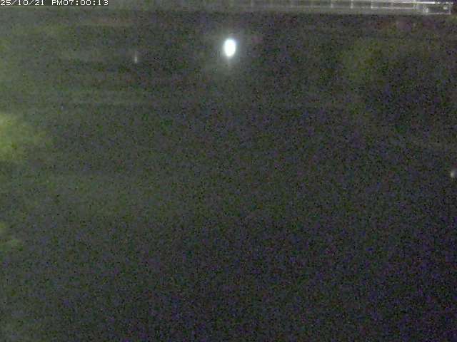 日置川１2025/10/22 11:20:00
