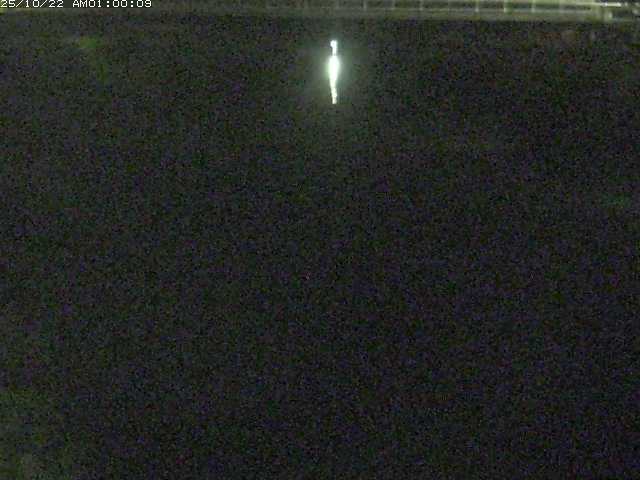 日置川１2025/10/22 11:20:00