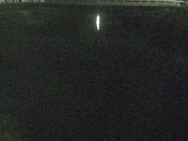 日置川１2025/10/22 11:20:00