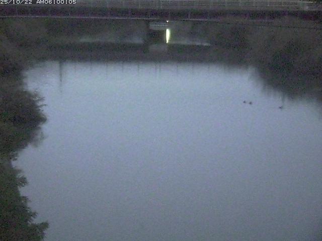 日置川１2025/10/22 11:20:00