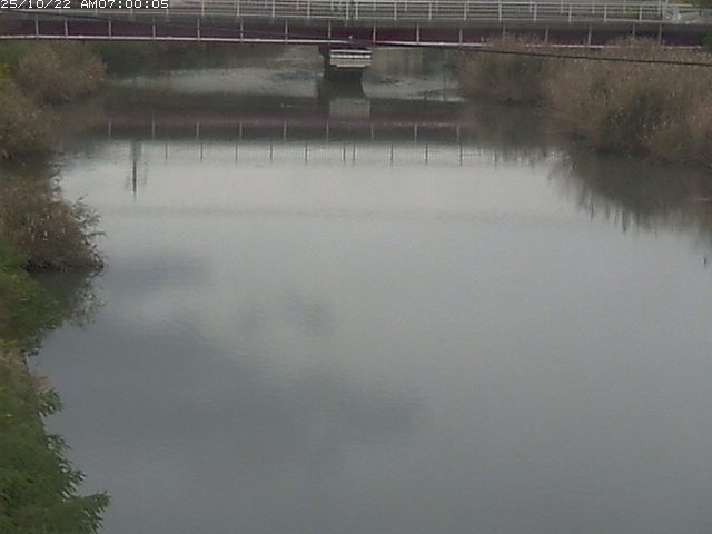 日置川１2025/10/22 11:20:00