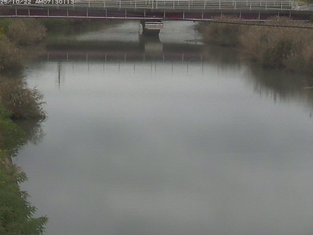 日置川１2025/10/22 11:20:00