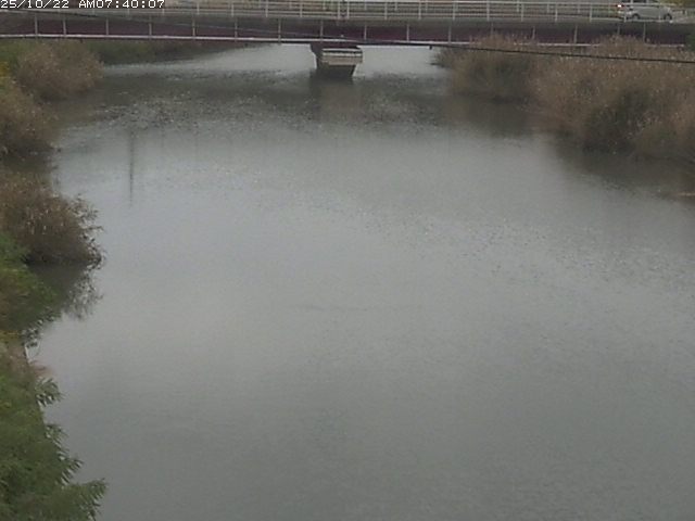 日置川１2025/10/22 11:20:00