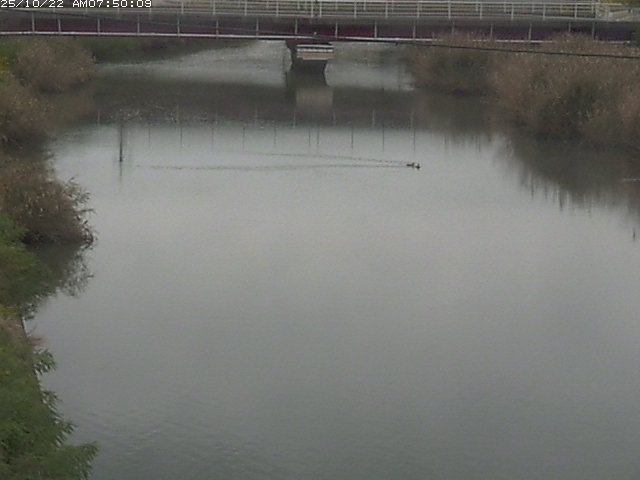 日置川１2025/10/22 11:20:00