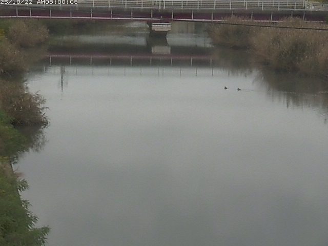 日置川１2025/10/22 11:20:00