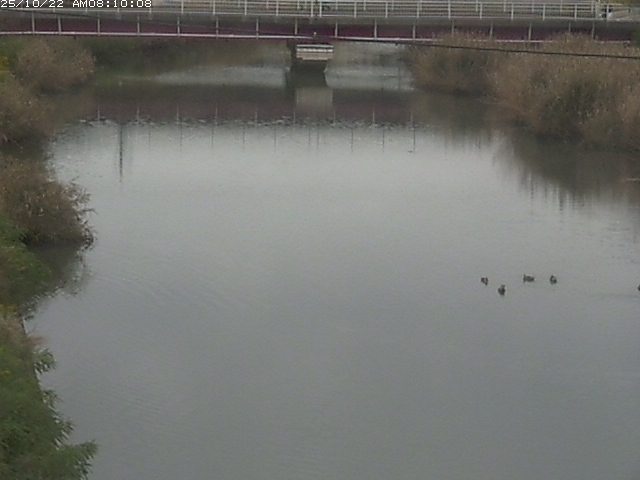 日置川１2025/10/22 11:20:00