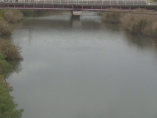 日置川１2025/10/22 11:20:00