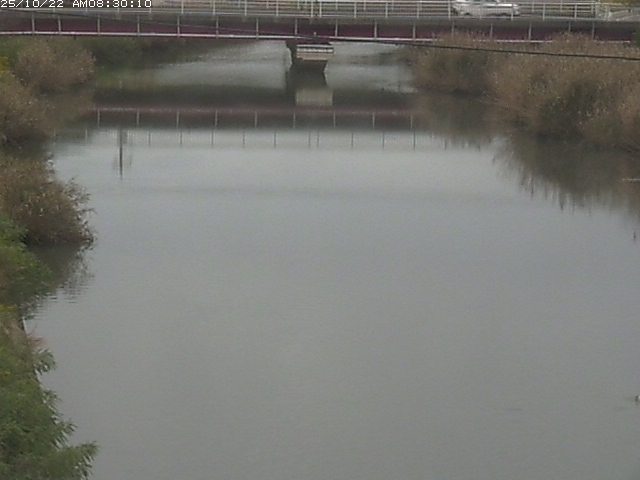日置川１2025/10/22 11:20:00