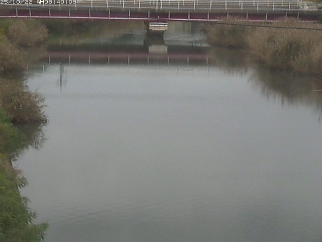 日置川１2025/10/22 11:20:00