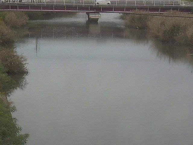 日置川１2025/10/22 11:20:00