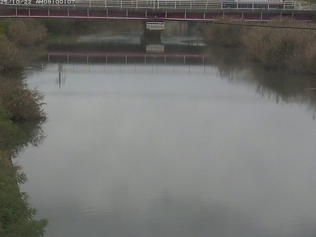 日置川１2025/10/22 11:20:00