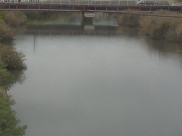 日置川１2025/10/22 11:20:00
