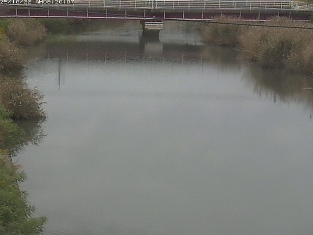 日置川１2025/10/22 11:20:00