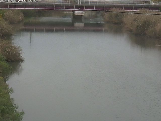日置川１2025/10/22 11:20:00