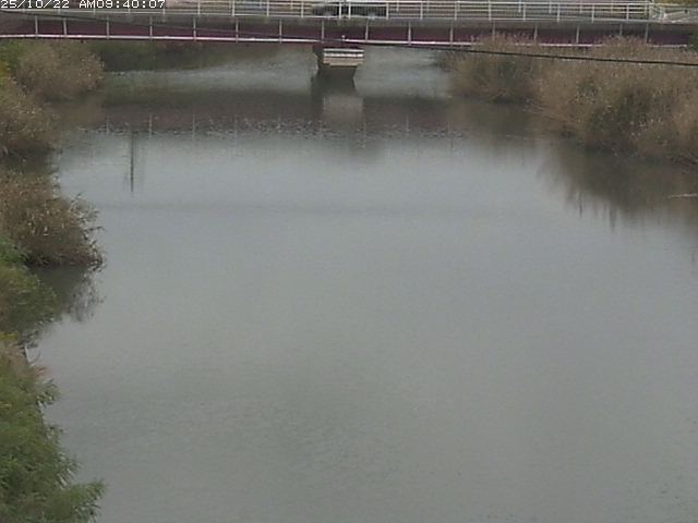 日置川１2025/10/22 11:20:00
