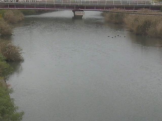 日置川１2025/10/22 11:20:00