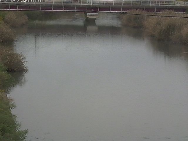 日置川１2025/10/22 11:20:00