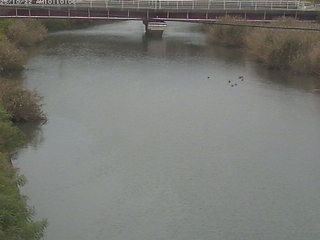 日置川１2025/10/22 11:20:00